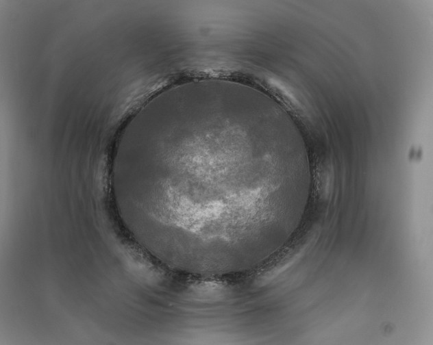 X0000091510594200708171157
