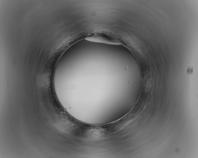 X0000091510595200708171157