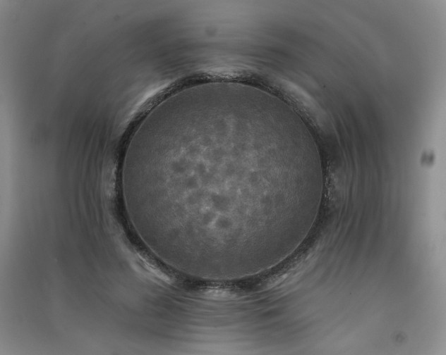 X0000091510596200708171157