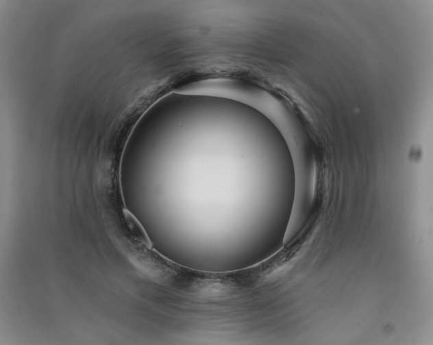 X0000091510597200708171157