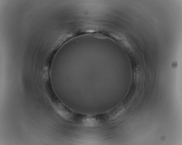 X0000091510598200708171157