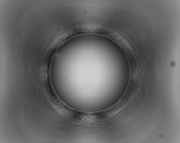 X0000091510599200708171157
