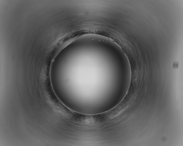 X0000091510600200708171157