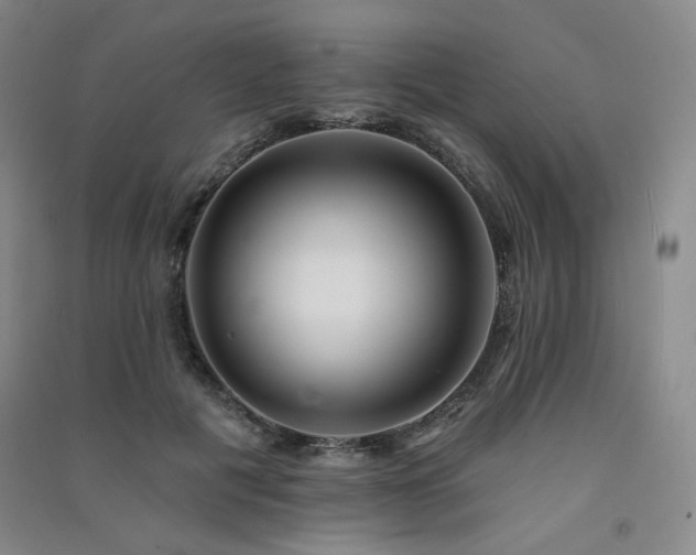 X0000091510601200708171157