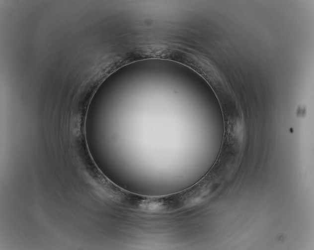 X0000091510602200708171157