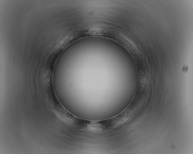 X0000091510603200708171157