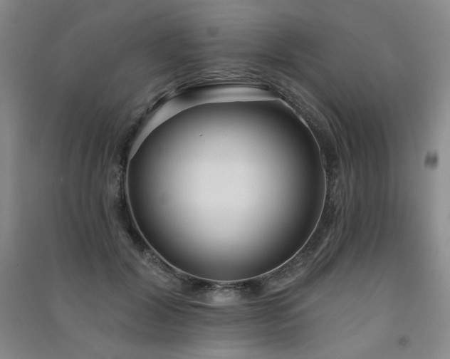 X0000091510604200708171157