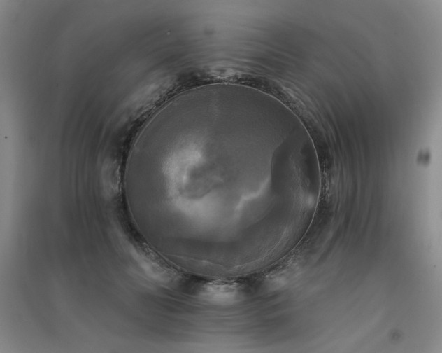 X0000091510606200708171157