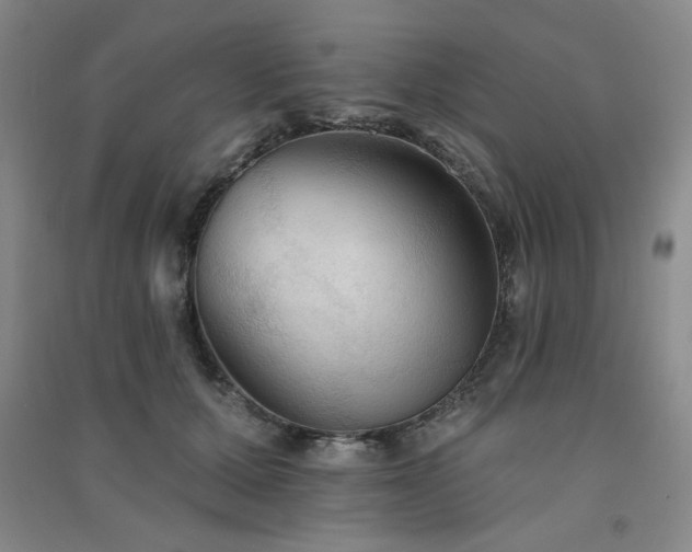 X0000091510607200708171157