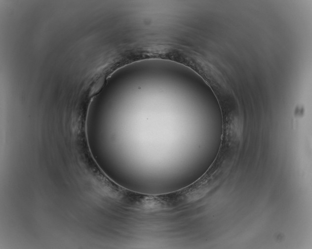 X0000091510608200708171157