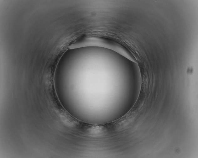 X0000091510609200708171157