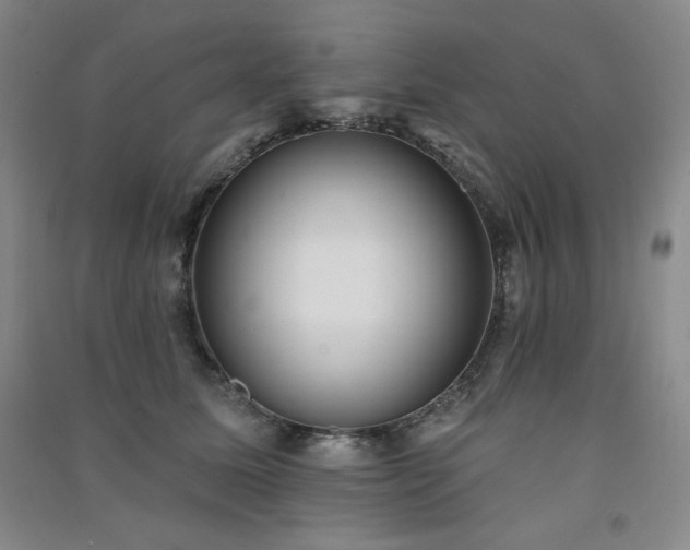 X0000091510611200708171157