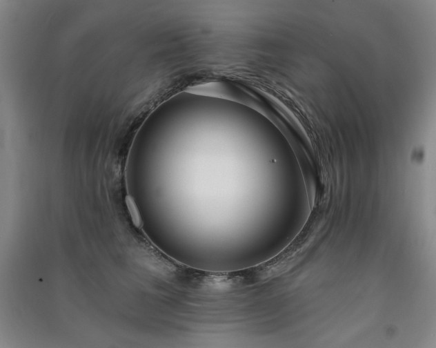 X0000091510613200708171157