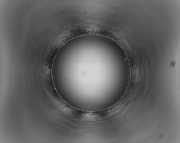X0000091510614200708171157