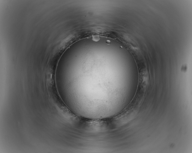 X0000091510615200708171157
