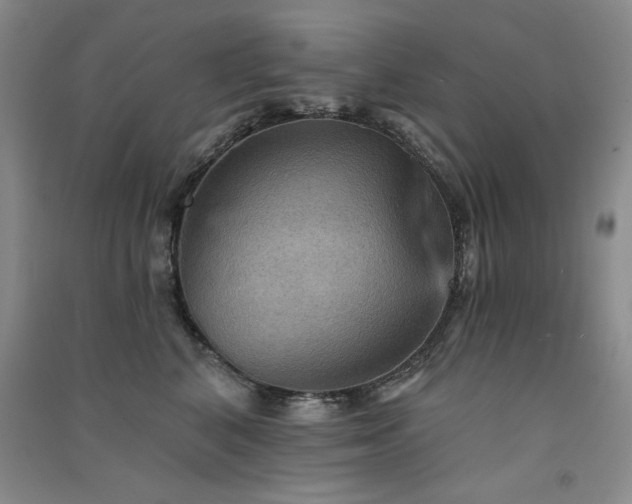 X0000091510616200708171157
