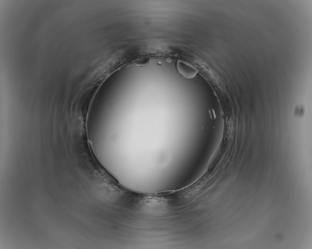 X0000091510617200708171157