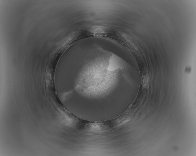 X0000091510618200708171157