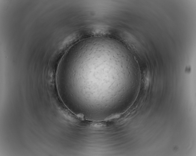 X0000091510619200708171157