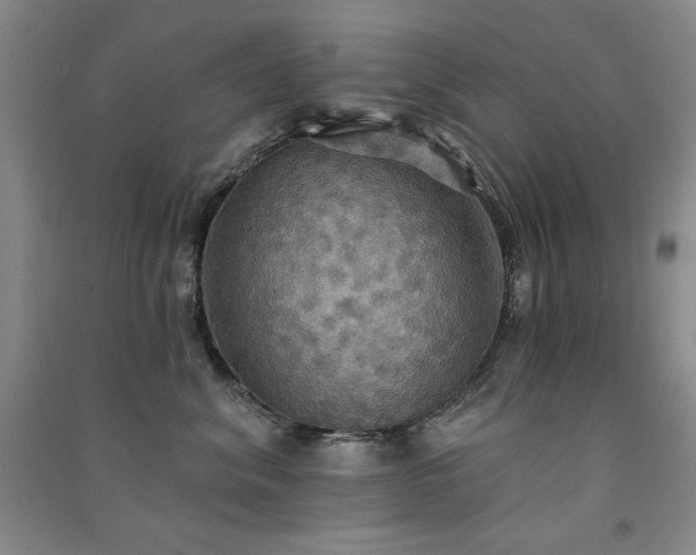 X0000091510620200708171157