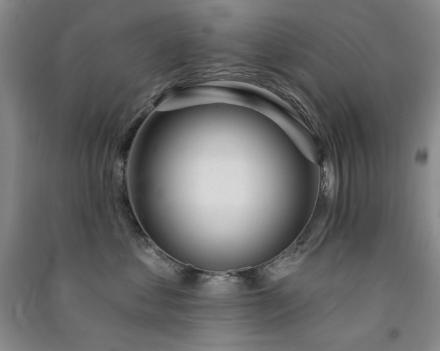 X0000091510621200708171157