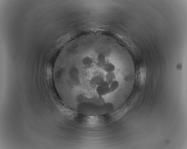 X0000091510623200708171157