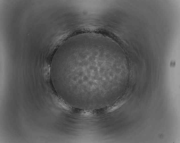 X0000091510624200708171157