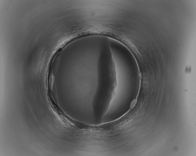 X0000091510626200708171156