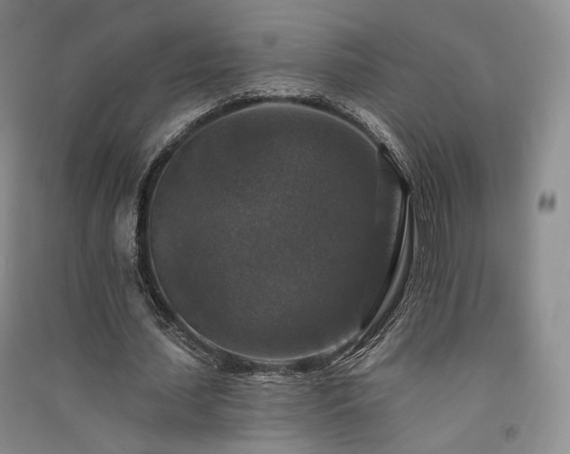 X0000091510627200708171156