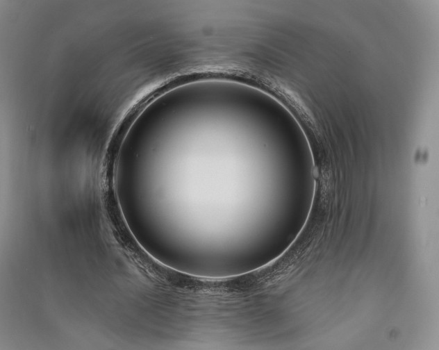 X0000091510628200708171156