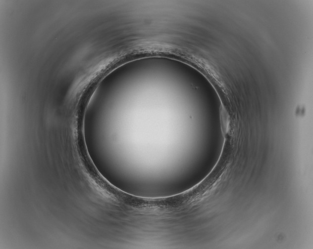 X0000091510629200708171156