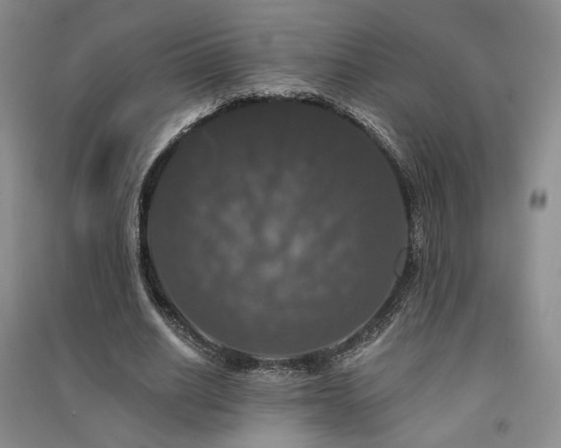 X0000091510630200708171156