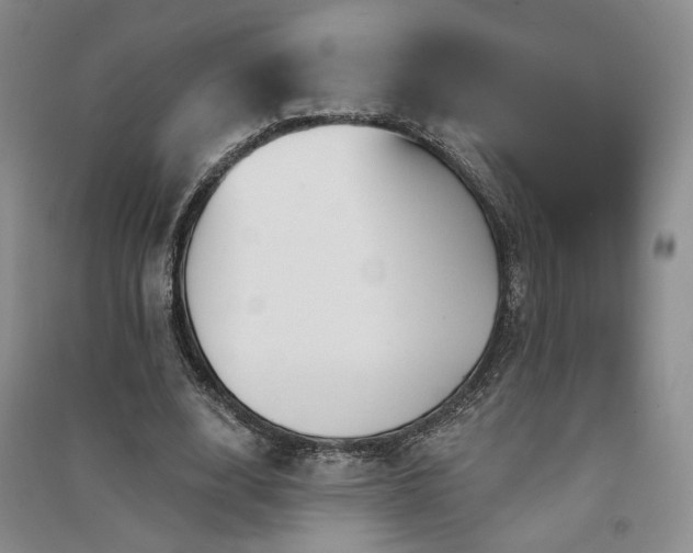 X0000091510632200708171156
