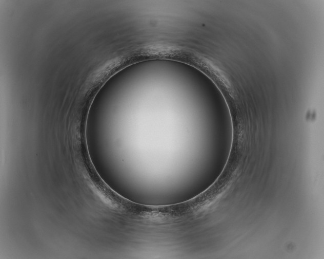 X0000091510633200708171156