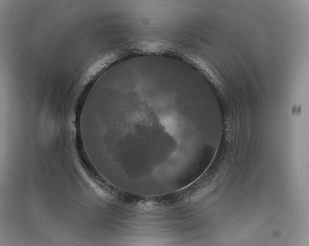 X0000091510634200708171156