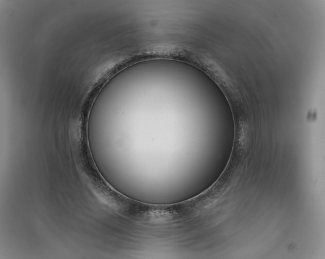 X0000091510636200708171156