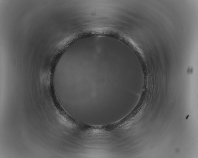 X0000091510637200708171156