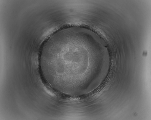 X0000091510638200708171156