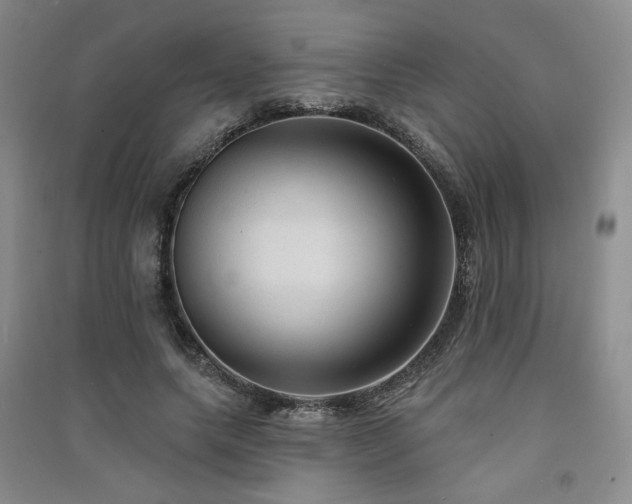 X0000091510639200708171156