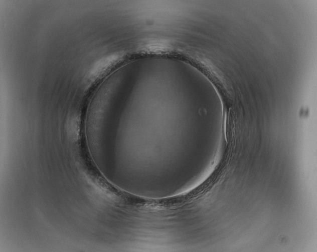 X0000091510640200708171156