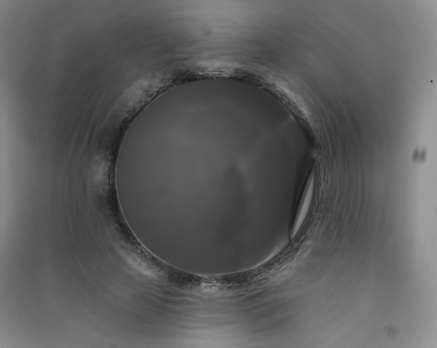 X0000091510641200708171156