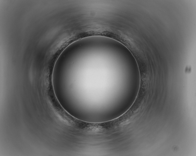 X0000091510642200708171156