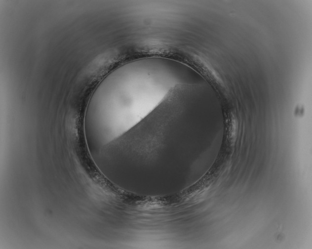 X0000091510643200708171156