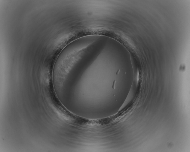 X0000091510644200708171156