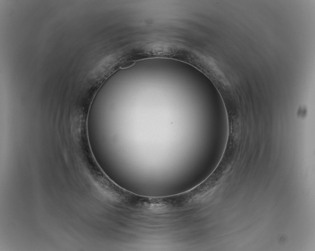 X0000091510645200708171156