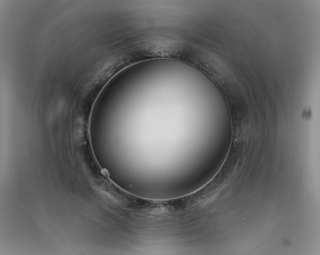 X0000091510646200708171156