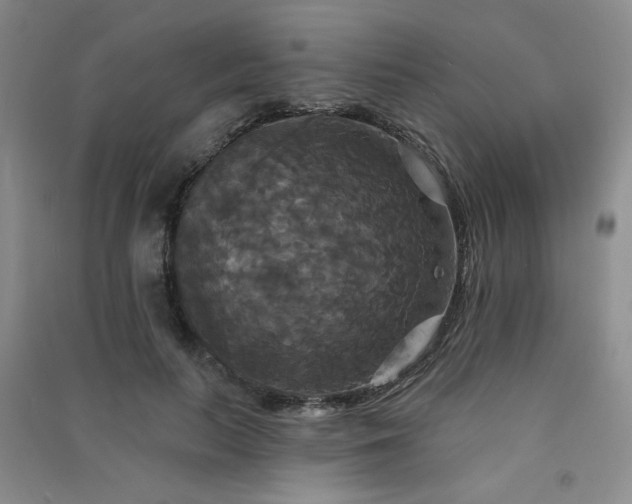 X0000091510647200708171156