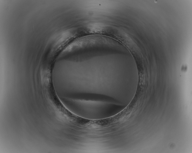 X0000091510648200708171156