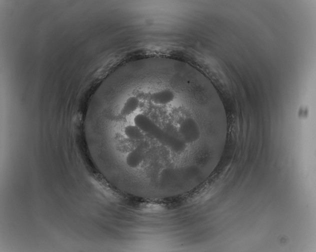 X0000091510649200708171156