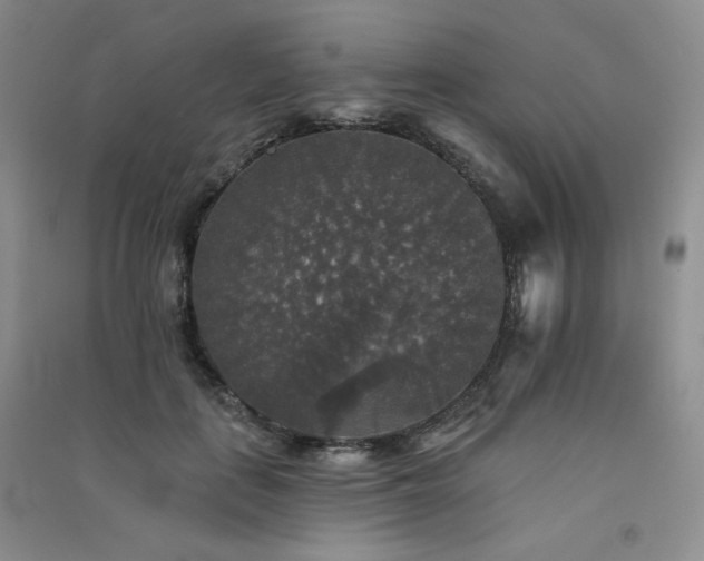 X0000091510651200708171156